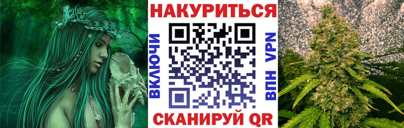 Где найти наркотики Соль-Илецк Альфа ПВП  МЕГА вход  Гашиш  Псилоцибиновые грибы  МЕТАДОН 