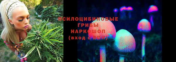 MESCALINE Гусиноозёрск