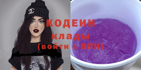 индика Тутаев