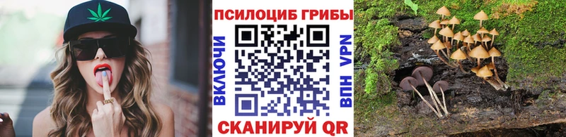 Галлюциногенные грибы мицелий  Соль-Илецк 