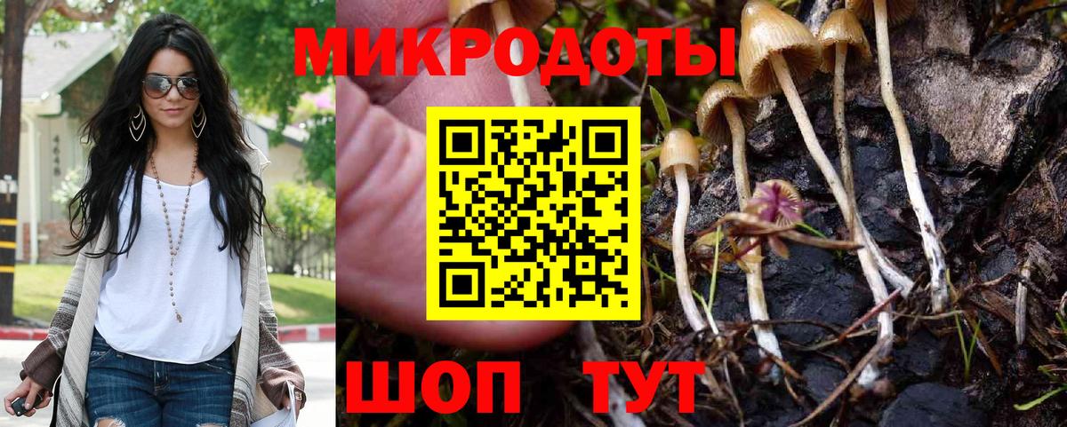 Соль-Илецк  Псилоцибиновые грибы Magic Shrooms  Псилоцибиновые грибы Magic Shrooms  Вход с VPN 