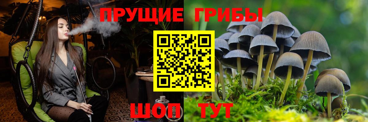 Галлюциногенные грибы Psilocybine cubensis Соль-Илецк