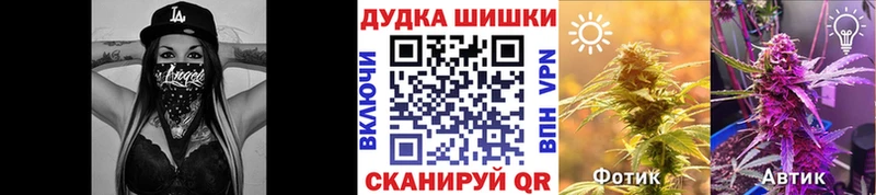 продажа наркотиков  Соль-Илецк  Конопля White Widow 