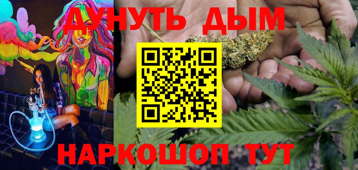 Конопля сатива Соль-Илецк